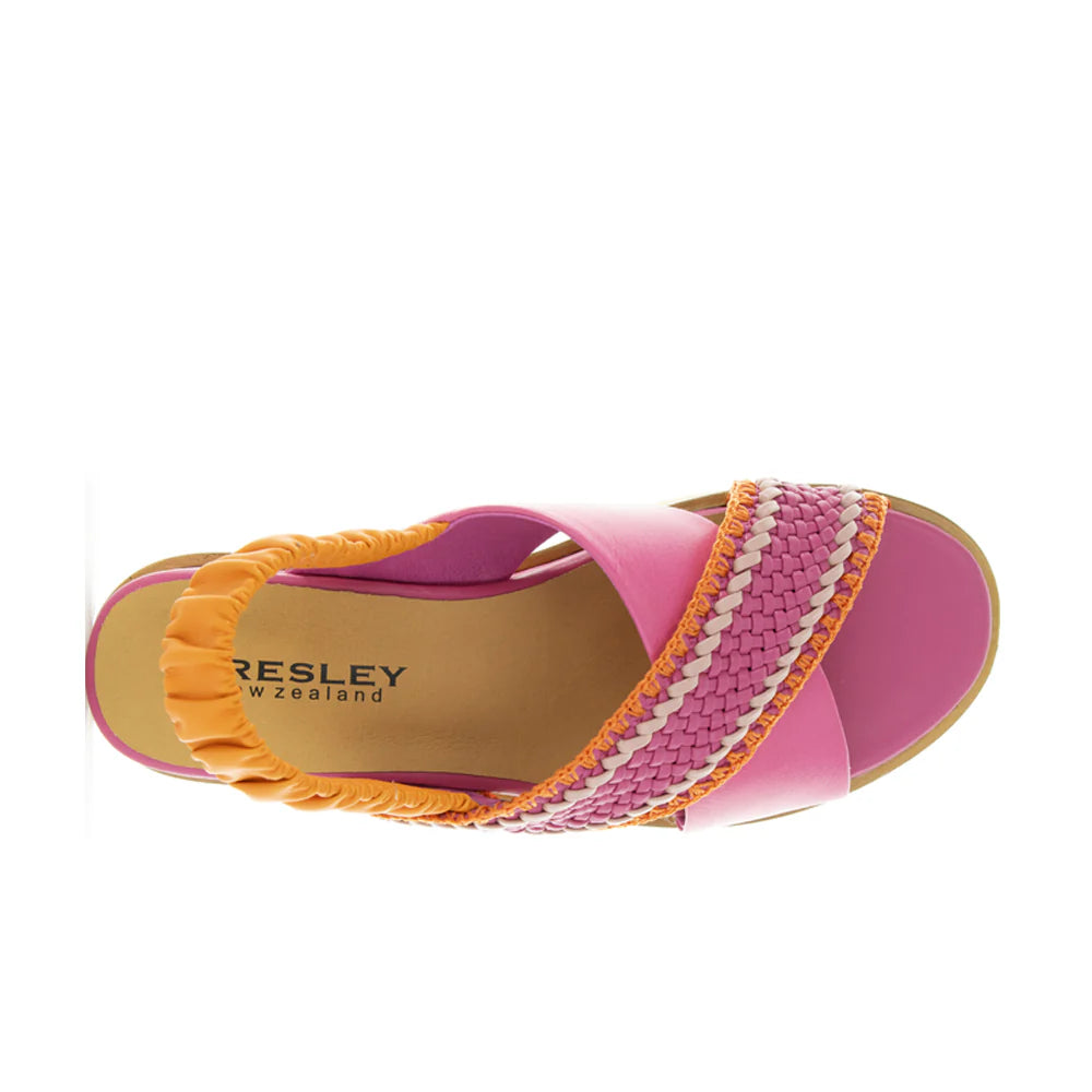 BRESLEY DEBACLE FUCHSIA MULTI