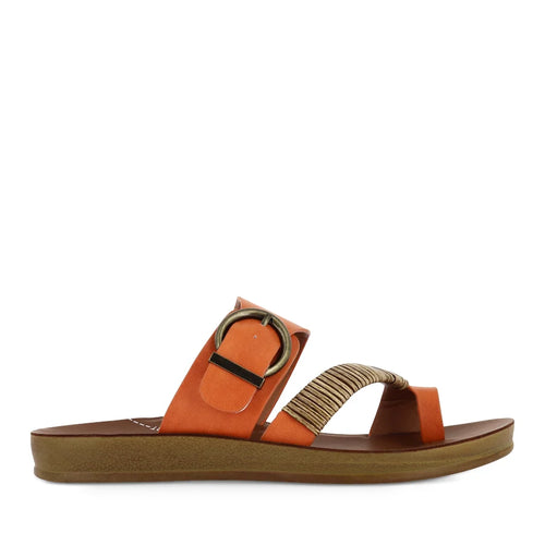 LOS CABOS BRIA TANGERINE