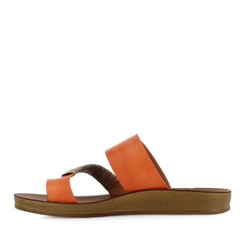 LOS CABOS BRIA TANGERINE